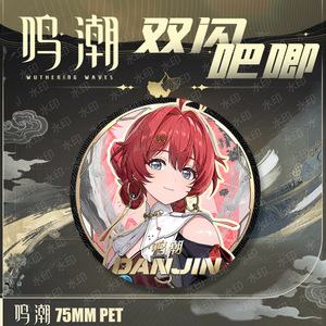 75mm kích thước lớn Anime hợp Kim Trâm Pin huy hiệu nút <span class=keywords><strong>wuthering</strong></span> sóng yangyang yuanwu taoqi Encore Cosplay Hợp Kim Trâm văn phòng phẩm - Product Image 6