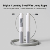 Vente en gros de cordes à sauter personnalisées, cordes à sauter réglables pour la remise en forme, cordes à sauter électroniques