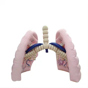 Aufblasbare PVC-Lungen mit Lungen schlauch modell