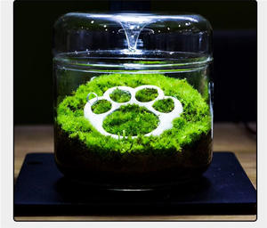 Terrarium en verre borosilicate géométrique élégant, fait main, écologique, style Japandi, <span class=keywords><strong>vase</strong></span> de table avec couvercle amovible - Product Image 2