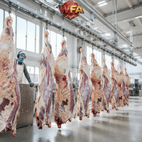 Système de traitement des carcasses de bétail en acier inoxydable, machinerie clé en main pour abattoir halal, atelier d'élevage
