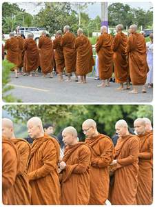 गर्म बिक्री पीले रंग का थाईलैंड भिक्षु वस्त्र कपड़ा सूती कपड़ा 60*60 90*88 भिक्षु वस्त्र थाई - Product Image 3