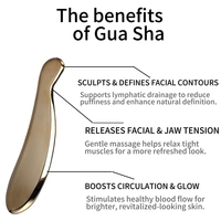 Planche Gua Sha en Cuivre Rouge Haute Pureté Classe I Favorise la Circulation Sanguine Thérapie Musicale Certifiée CE Garantie 3 Ans Corps
