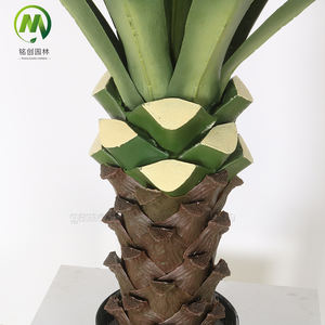 Plante Bonsaï Artificielle en Sisal Real Touch Faux <span class=keywords><strong>Agave</strong></span> Americana avec <span class=keywords><strong>Agave</strong></span> Artificiel en Pot pour la <span class=keywords><strong>D</strong></span>écoration - Product Image 6