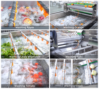 Commerciële groentewasinstallatie 1000kg/uur Passievrucht Sla Aardappel Ui Reinigingslijn Machine