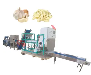 Yüksek performanslı sarımsak soyma makinesi üretim hattı sarımsak ayırma soyma sıralama hattı otomatik