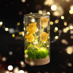 غطاء مصباح زجاجي كروشيه يدوي على شكل زنبق الوادي، ضوء ليلي، قماش منسوج ومحبوك، زينة كريسماس، ديكور لسطح المكتب، غطاء للحماية من الغبار - Product Image 5