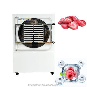 Máquina de Secado por Congelación de Alimentos de Uso Industrial, 18 Bandejas, 5m2 -70, 60-70kg, para Frutas, Verduras, Manzana, Aguacate, Plátano y Carambola - Product Image 2