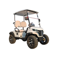 Tarion Nuevo Modelo de Carro de Golf Eléctrico para 2 Personas, Alta Velocidad, Alcance de 90 km, Buggy de Golf para Carretera, Frenos de Disco Hidráulicos, Certificado CE, 4KW AC
