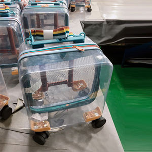 Valise transparente tendance pour enfants, petite mini valise pour garçons et filles, légère, mignonne, pour voyages en avion - Product Image 2