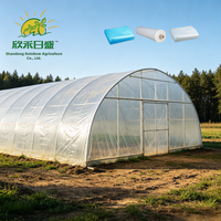 Film plastique agricole pour serre, anti-goutte, anti-buée, à haute rétention de chaleur, pour la culture en serre agricole