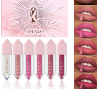 Cross-Border Handaiyan6 Matte Lip Glaze Suit Crème minérale imperméable à l'eau Non-Stick Cup-Color Lip Gloss