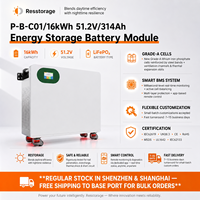 Batterie LiFePO4 Murale Commerciale Hybride pour Stockage d'Énergie sur Réseau 51.2V 314Ah 16kWh pour Système Solaire Industriel IP54