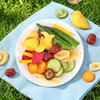 12 Soorten Hoogwaardige Gebakken Zoete Gedroogde Groenten & Fruit, Klaar-om-te-Eten Mix FD VF Gedroogde Fruitschijfjes, Snacks