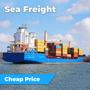 From China to Korea Best LCL Sea Freight Forwarder Shipping Agent Cheap Sea Freight Rates