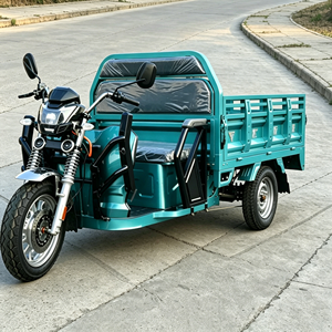 Tricycle cargo avec double certification EEC COC, boîte de chargement de 1,6 m, capacité de charge de 500 kg <span class=keywords><strong>pour</strong></span> le marché européen, 40 km/h - Product Image 6
