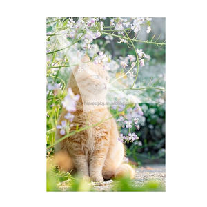 Le nouveau <span class=keywords><strong>film</strong></span> de stratification à froid brillant est principalement utilisé pour la production publicitaire et la protection des œuvres artistiques - Product Image 3