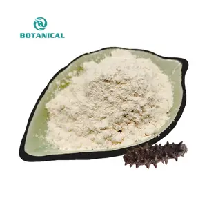 B.C.I Supply Sea Cucumber Polypeptide 90% Sea Cucumber Protein Powder Holothurian Extract Oligopeptide