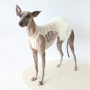 Vestido Casual Tutu de Primavera Petstyle Xingxu Waltz para Galgo Italiano e Whippet, Roupa Confortável e Fofa para Animais de Estimação - Product Image 5