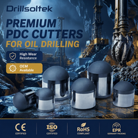 Coupeur PDC de qualité supérieure pour l'exploration pétrolière, performance de coupe haute efficacité