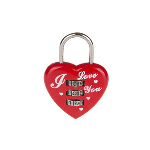 Candado de Combinación Antirrobo de Fábrica FEIHUAN, Logotipo OEM, Regalo Romántico, Candado para Cajón y Equipaje, Aleación de Zinc, Desbloqueo por Huella Dactilar y <span class=keywords><strong>Contraseña</strong></span> - Product Image 2