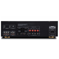 Amplificateur de karaoké professionnel 250W DSP Dn 208 pour carte audio stéréo USB 2 canaux haute résolution, mixeur de puissance