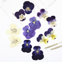 Bunga Phalaenopsis Kering Ukuran Kecil 3.5-4cm, Tren Terbaru, untuk Kerajinan Tangan DIY