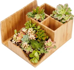 Vaso de bambu para plantas suculentas, porta-flores de madeira, organizador para ambientes internos e externos