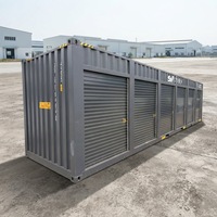 Unités de stockage en acier pour l'extérieur, conteneurs de stockage modulaires avec portes enroulables, unités de stockage portables