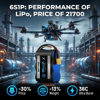 Batterie Li-ion LiHV sans tableaux 6S1P 5000mAh 21700 personnalisée à décharge rapide 25C pour drone de vol 1000