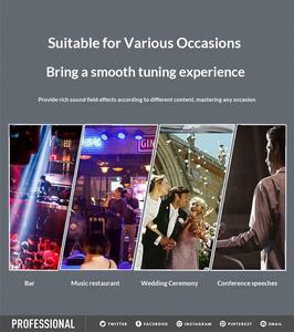 Consola de Mezclas Profesional de 6 Canales con Amplificador de Potencia, USB, Bluetooth y Efectos DSP para Uso en Escenarios, Bandas y Salas de Reuniones - Product Image 4