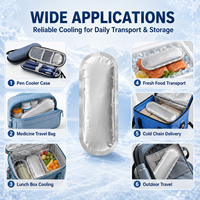 Pochette isotherme réutilisable en aluminium de qualité médicale pour le transport et le stockage de l'insuline pour diabétiques