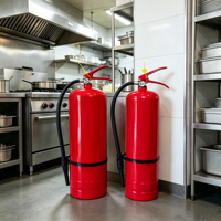 Extincteur à eau 4L 6L, équipement portable de lutte contre l'incendie ABC pour la maison, le bureau, l'entrepôt