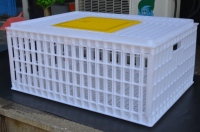 Nouvelle cage de transport pour volailles YIMUDA en polyéthylène haute densité blanc, longue durée de vie, taille personnalisable, légère