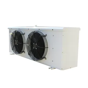 Cold Room Cold Room High Efficiency Customized Freezing Room Walk In Cooler Unit Commercial Refrigeration Cool Cold Room