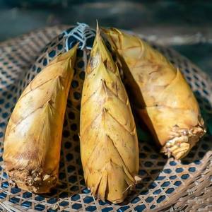 Высококачественные свежие овощи из Китая-холодная сетка, продукт из корня бамбука - Product Image 2