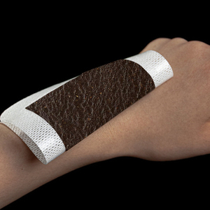 Natuurlijke Chinese Kruidengips Honing Patent Artritis Behandeling Voor Lichaamstoepassing - Product Image 1