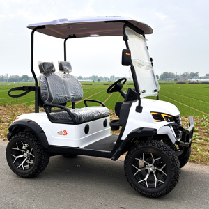 Chariots de <span class=keywords><strong>golf</strong></span> électriques 2 places Chariots de <span class=keywords><strong>golf</strong></span> à piles Chariots de <span class=keywords><strong>golf</strong></span> tout-terrain à vendre - Product Image 3