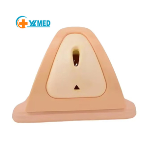 Con Người Bệnh Nhân Đáy Chậu Cắt Và Khâu Đào Tạo Mô Phỏng - Product Image 1