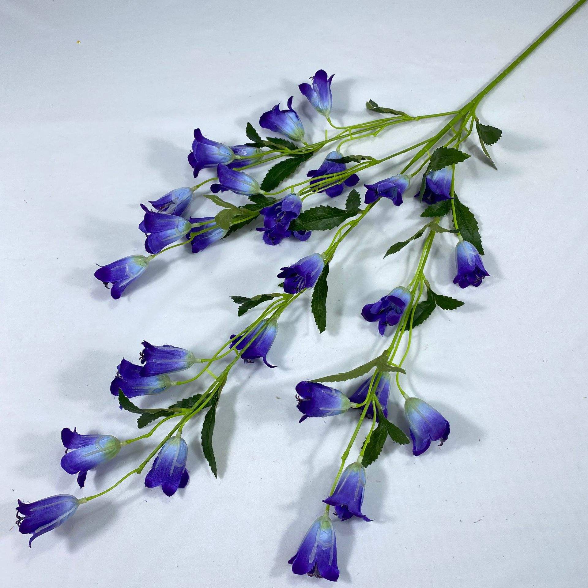 Blu viola