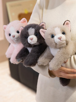 Peluche personnalisée populaire et mignonne en trois couleurs, chat persan, cadeau d'anniversaire, jouet en peluche