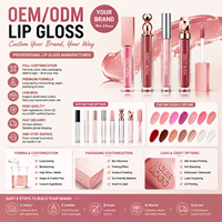 Vente en gros de rouge à lèvres effet miroir à marque privée, non-transfert, aspect naturel, gloss à lèvres personnalisé pour un usage quotidien