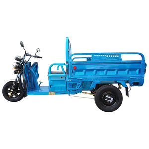 Factory EEC COC <strong>Electric</strong> Tricycle <strong>Trike</strong> 3 Wheel <strong>Motorbike</strong> for Farming Cargo Loading - Product Image 4