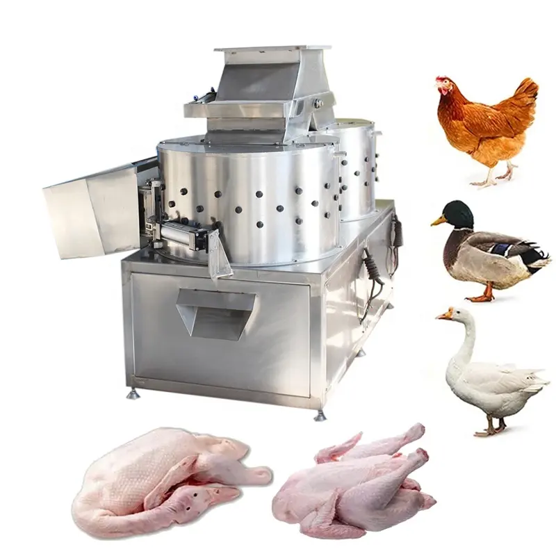 Máquina avançada de depenagem de frango para equipamentos e máquinas agrícolas, equipamento de abate de aves