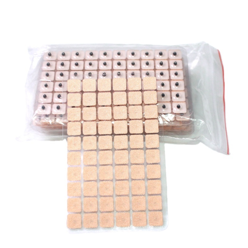 Chinese Manufacturer Acupuncture Needles Instruments Ear