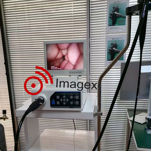 Gastroscopie vétérinaire vidéo 1080P HD, endoscope flexible avec canal de travail, pour clinique vétérinaire (chien, chat, cheval, animaux) - Product Image 5