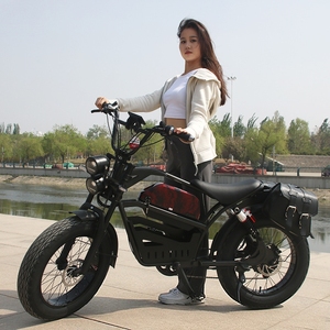 <span class=keywords><strong>Acier</strong></span> de 20 pouces, fabrication américaine Vélo électrique à pneus larges pour adultes, avec double amortisseur, moteur arrière 1500W sans balais, batterie lithium 48V 15AH - Product Image 4