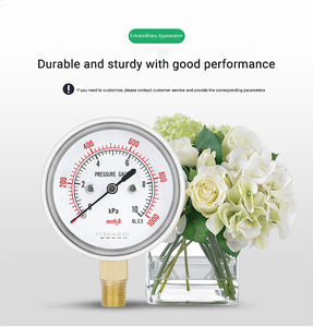 저렴한 가격 2.5인치 0-5psi 다이어프램 캡슐 미세 압력계 가스 2.5% 압력 측정기 - Product Image 6