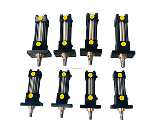 Vendita Diretta di Cilindri Idraulici a Media e Alta Pressione, Cilindri Idraulici con Piastra Frontale Installata - Product Image 4