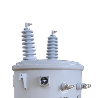 Transformateur toroïdal monophasé CSP 20 kVA 10 kV 220 V à bobine en aluminium, rempli d'huile, monté sur poteau